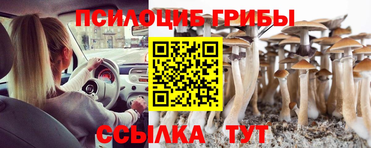 Сокол  Галлюциногенные грибы ЛСД  Вход с VPN 