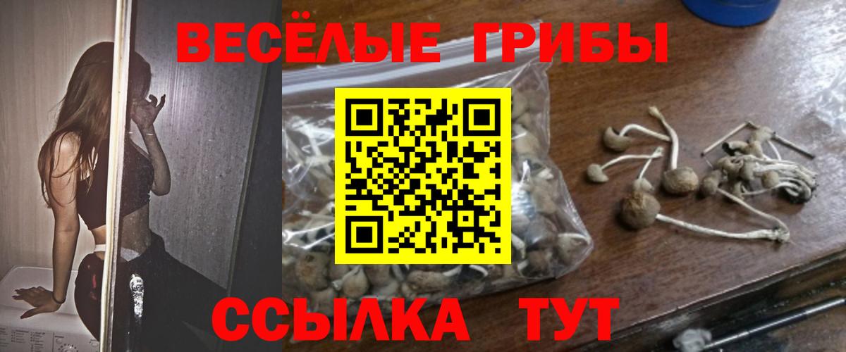 ГАШ  Меф МЯУ МЯУ   Сокол  Кокаин  Как найти закладки?  Вход с VPN  Гашиш 